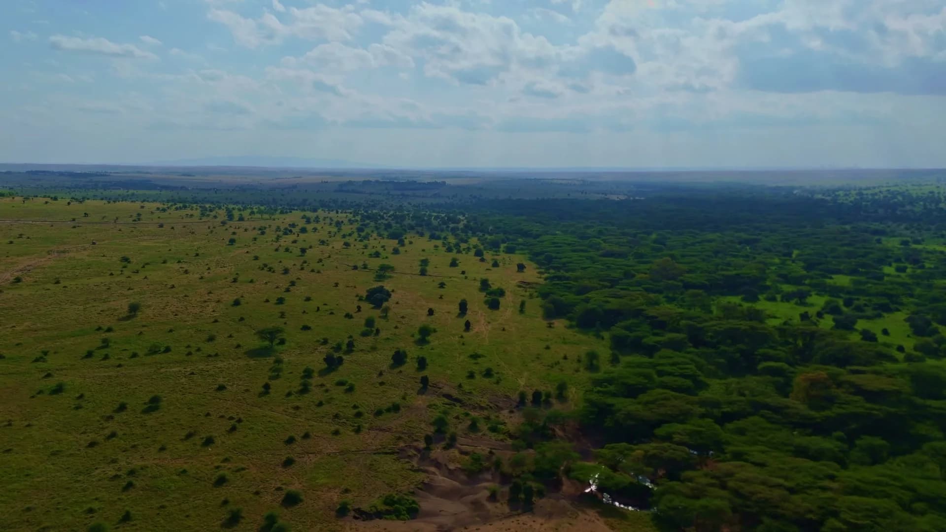 Utana Kinuthia showreel preview